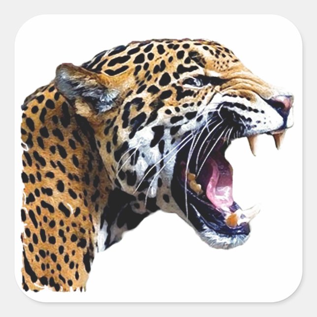 Jaguar - Wild Cat Quadratischer Aufkleber (Vorderseite)