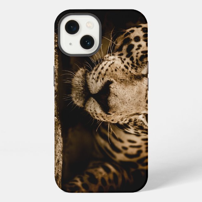 Jaguar, Wildkatze, Katze iPhone Hülle (Rückseite)