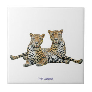Jaguarbild für Keramik Tile Fliese