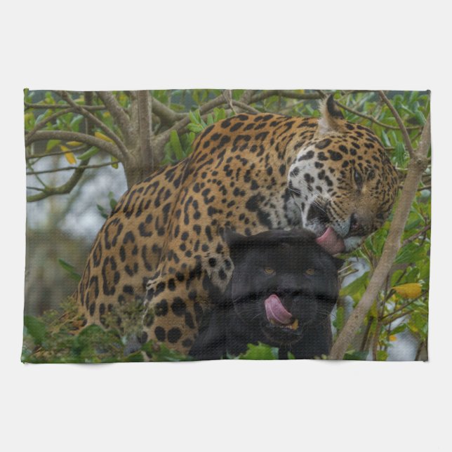 Jaguare in Liebe Geschirrtuch (Horizontal)