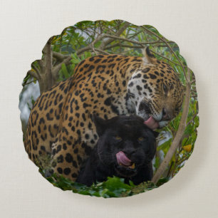 Jaguare in Liebe Rundes Kissen