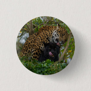 Jaguars in Love Silver Button