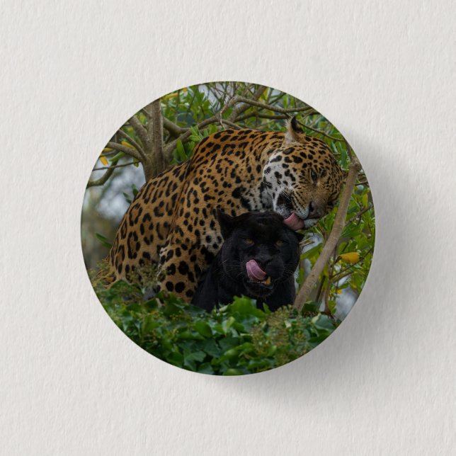 Jaguars in Love Silver Button (Vorderseite)