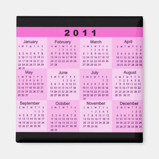 Jahr 2011 auf einen Blick Magnet