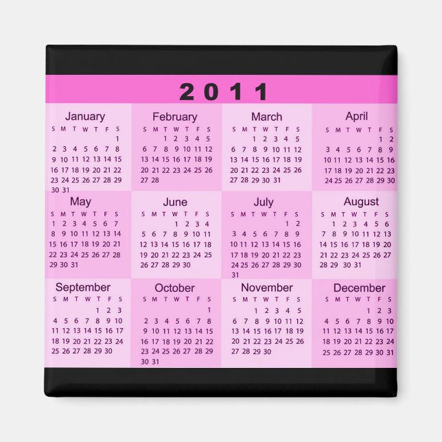 Jahr 2011 auf einen Blick Magnet (Vorne)