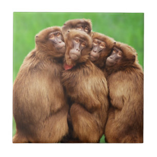 Jahr der Feuer-Affe-Fliese Fliese