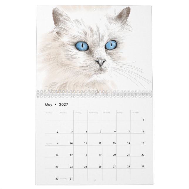 Jahr der Katzen-Zeichnungen Kalender (Mai 2027)