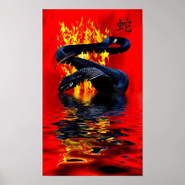 Jahr der Schlange Schwarze Schlange Chinesisches N Poster (Vorne)