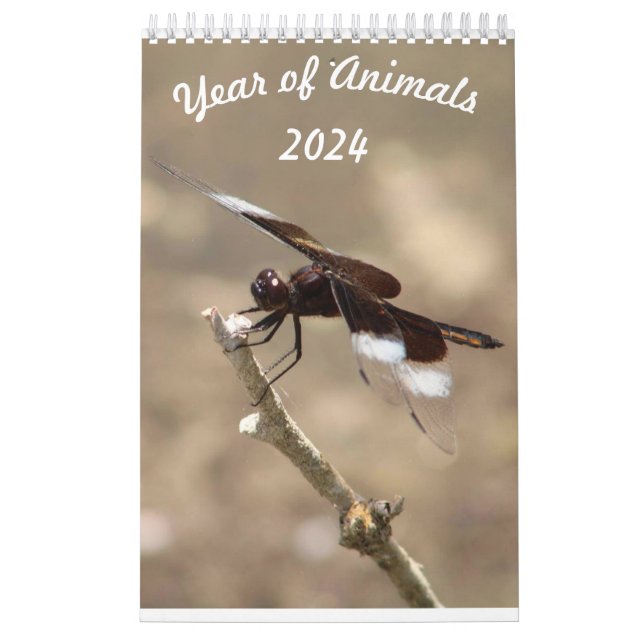 Jahr der Tiere Kalender (Titelbild)