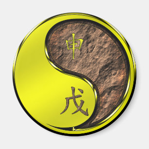 Jahr des Erdmondes Magnet