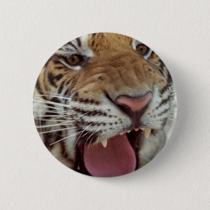 Jahr des Tiger-runden Buttons