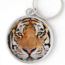 Jahr des Tigers