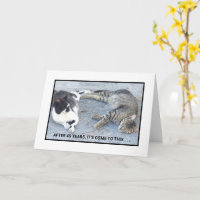 JAHRESINHALT/ZWEI SCHLAFKATZEN/SPASS