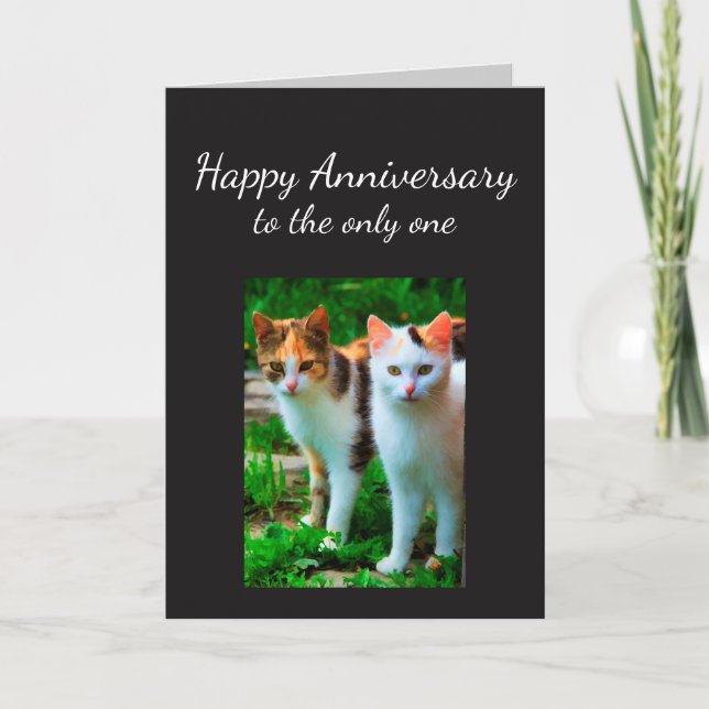 Jahrestag liebte einen Katzen-Spaß Karte (Vorderseite)
