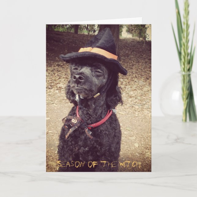 Jahreszeit der Hexe Karte (Vorderseite)