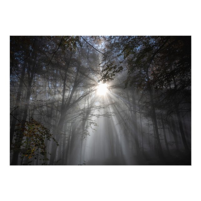 Jahreszeit des Schweigens Fotodruck (Vorne)