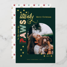 Jahreszeit Spaß am Faulenzen Red Pet Hund Foto Grü
