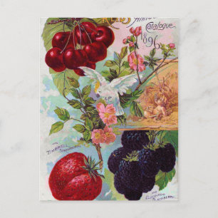 Jährlicher Obstkatalog 1896 Postkarte