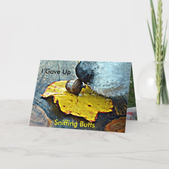 J'ai abandonné la carte de Noël de bouts de (Devant)