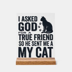 J'ai demandé à Dieu un véritable ami Mon chat desi