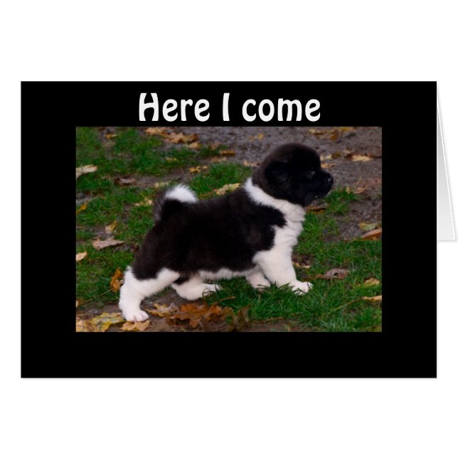 J'AI ENTENDU QUE VOUS AVEZ UNE JAMBE DE BOO (Devant horizontal)