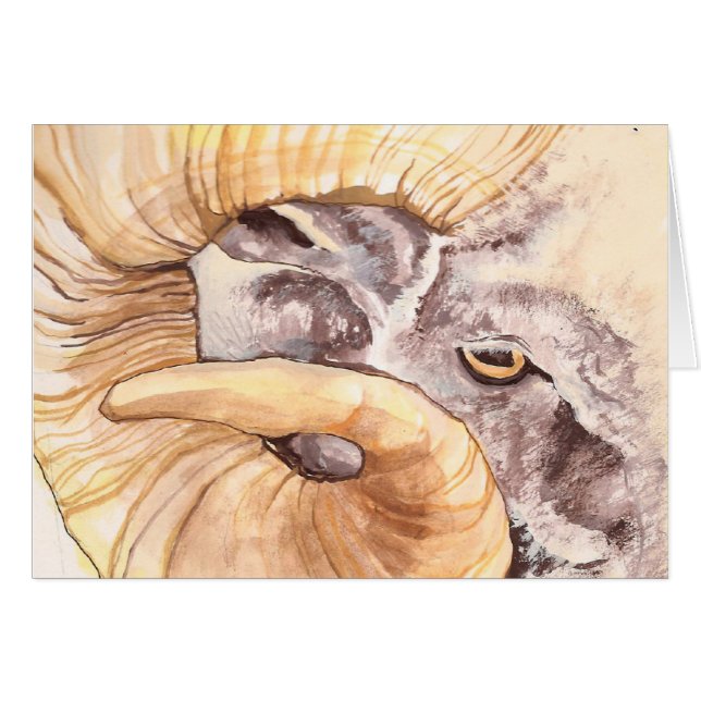 j'ai mon oeil sur la brebis (Devant Horizontal)