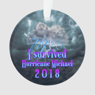 J'ai survécu à l'ouragan Michael