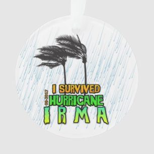 J'ai survécu au cyclone Irma