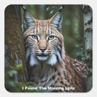 J'Ai Trouvé Les Stickers Lynx Manquants