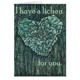 J'ai un lichen pour vous