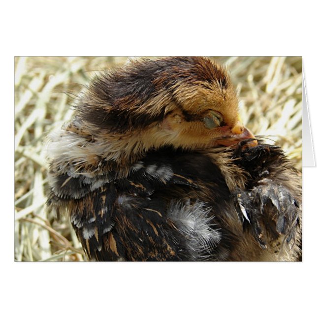 J'ai un problème (Devant horizontal)