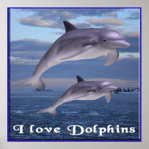 J'aime affiche des dauphins