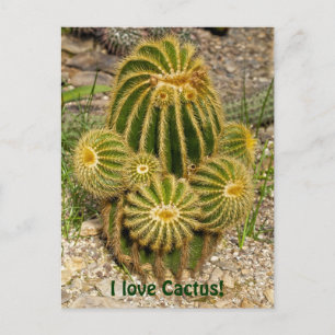 J'aime Cactus Carte Postale