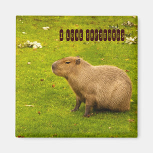 J'aime Capybaras Magnet