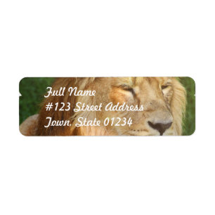 J'aime des étiquettes postales de lions