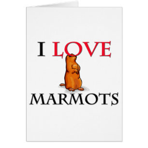 J'aime des marmottes