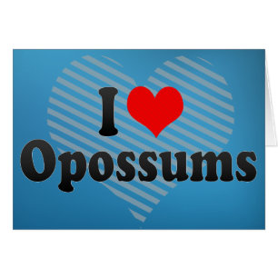 J'aime des opossums