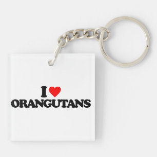 J'AIME DES ORANGS-OUTANS
