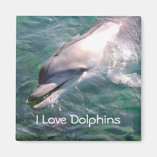 J'aime Dolphins Magnet