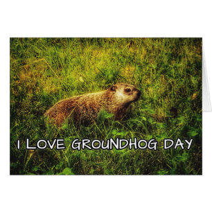 J'aime Groundhog Day de la carte de voeux
