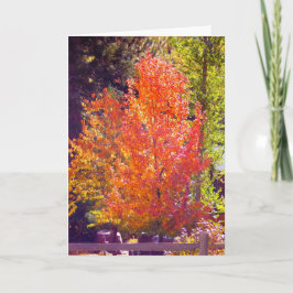 J'aime la carte d'automne