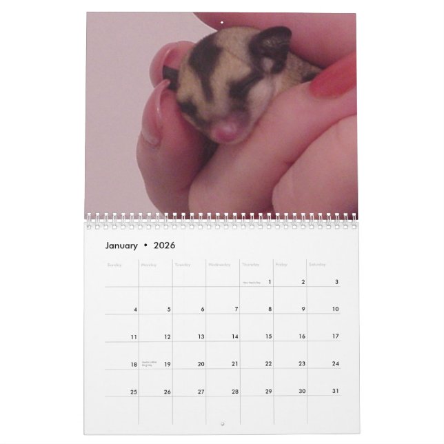 J'aime le calendrier de planeurs de sucre (Jan 2026)