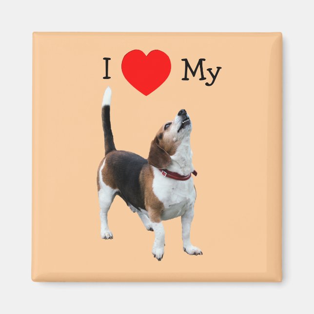 J'Aime Le Coeur Mon Aimant Beagle Chien (Devant)