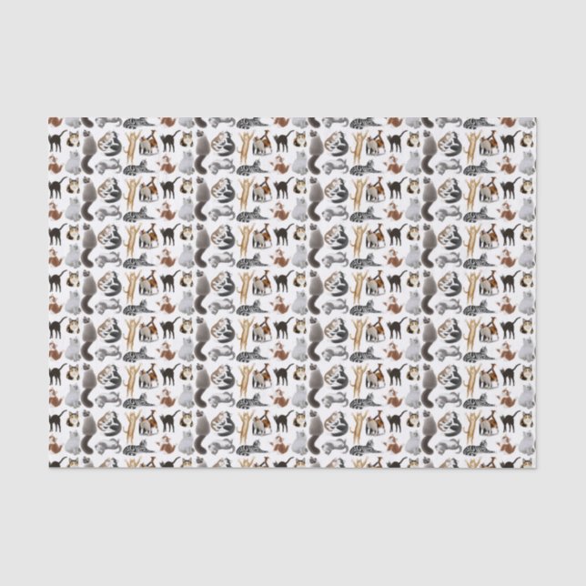 J'aime le papier de soie de soie de chats (Recto)