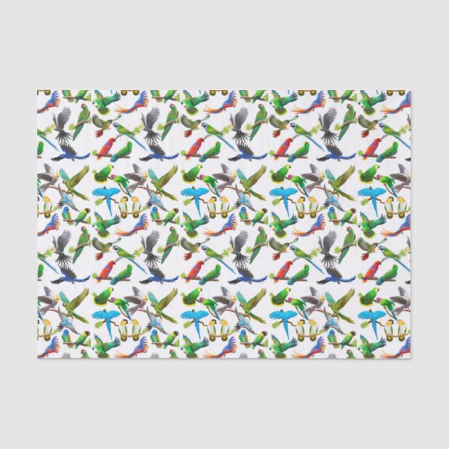 J'aime le papier de soie de soie de perroquets (Recto)