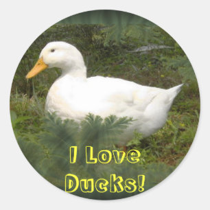 J'Aime Les Canards ! Autocollants