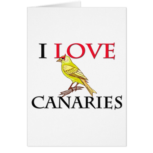 J'aime les Canaries (Devant)