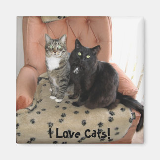 J'aime les chats ! aimant