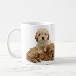 J'aime ma tasse de cockapoo !