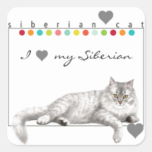 J'aime mes autocollants sibériens de chat